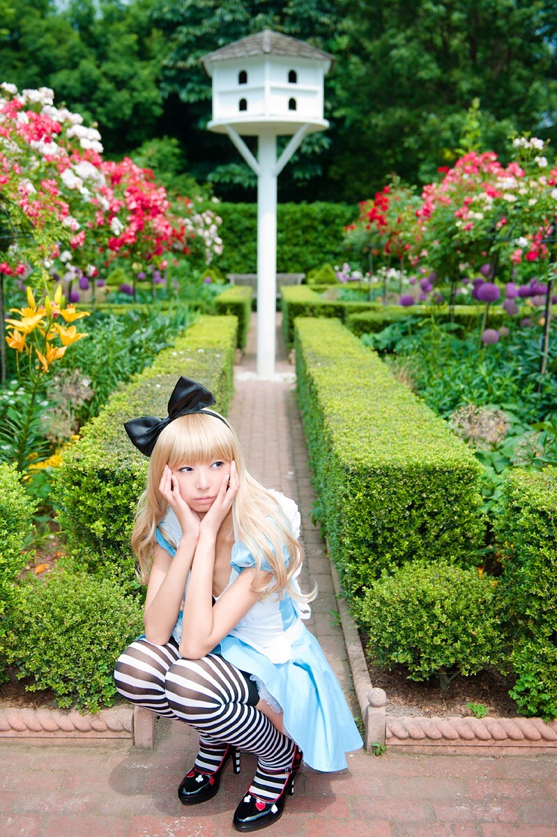 cosplay套图 c78 NECOCO.in.Wonderland